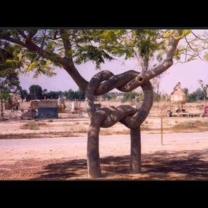 Meet your Posher, Salma